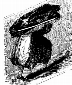 Coal Bearer,  illustrated in the Children's Employment Commission  Report,1842