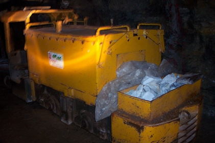 Locomotore Emac
