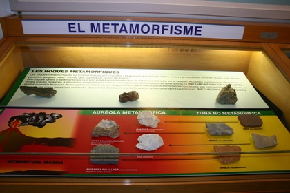 El metamorfismo