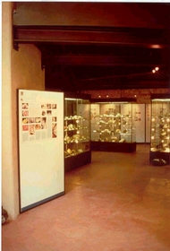 Interno del Museo del parco di San Silvestro