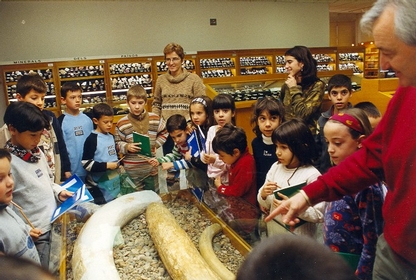 Visita al museo