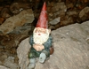  Go to the page that contains this image: Meritata pausa, miniera Anna