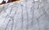  Go to the page that contains this image: Afloramiento de Fumanya