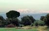  Go to the page that contains this image: Monti del Matese