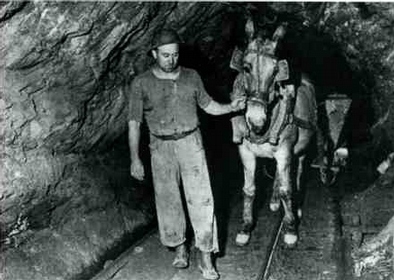 Il trasporto del minerale con l'asino