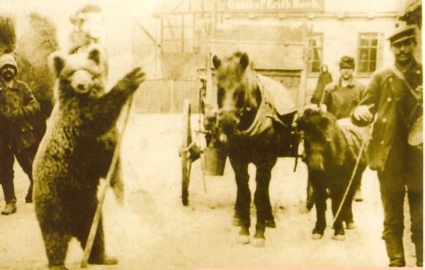 L'arrivo in citt� di una compagnia di Orsanti